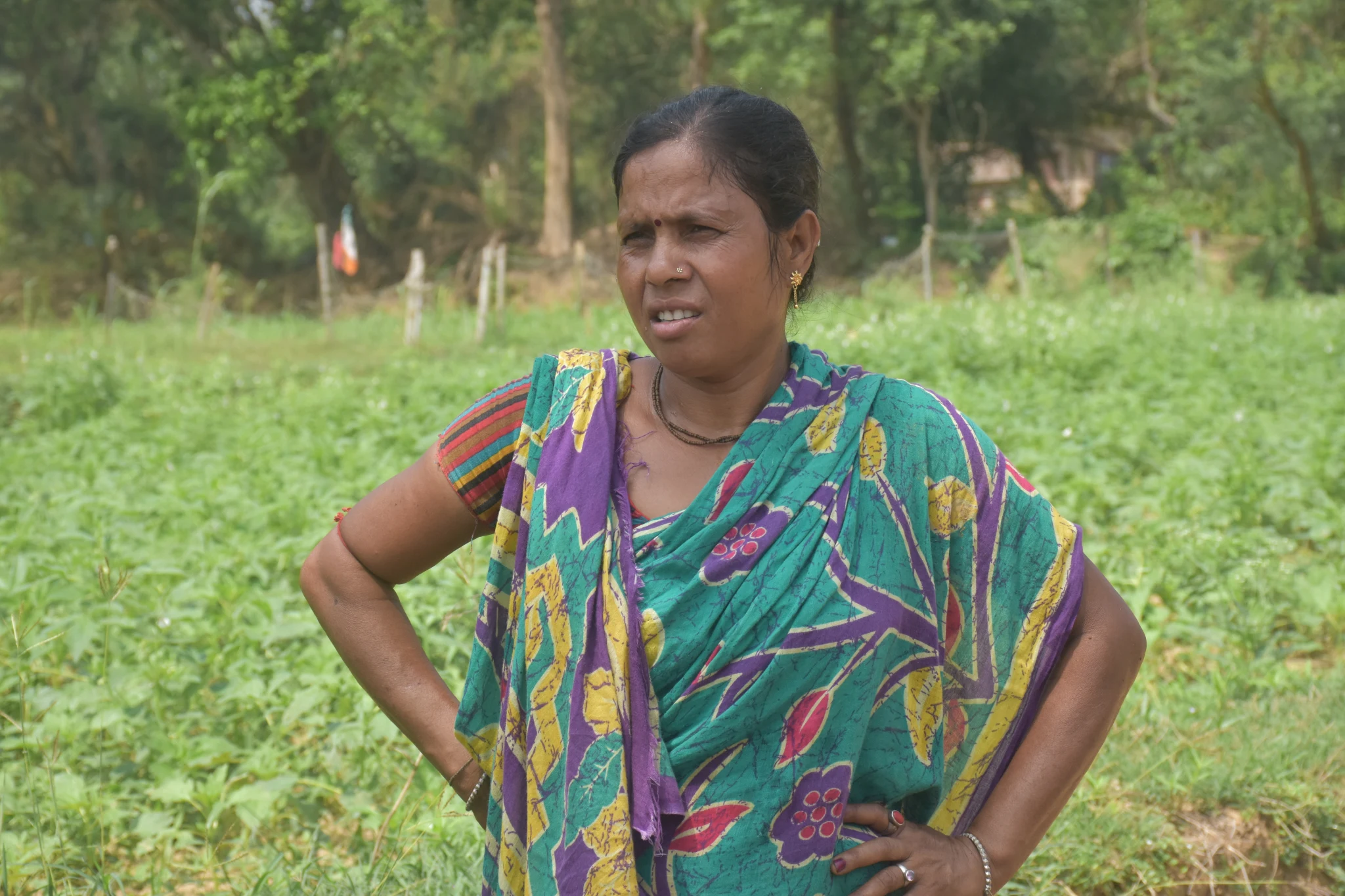 Custom Hiring Centers (CHCs)/Seed Banks/Fodder Banks/ Vermicomposting Units/Mushroom cultivation/Nursery Raising/Value Addition and Processing Units/Any other successful women-managed enterprises) - Image 1