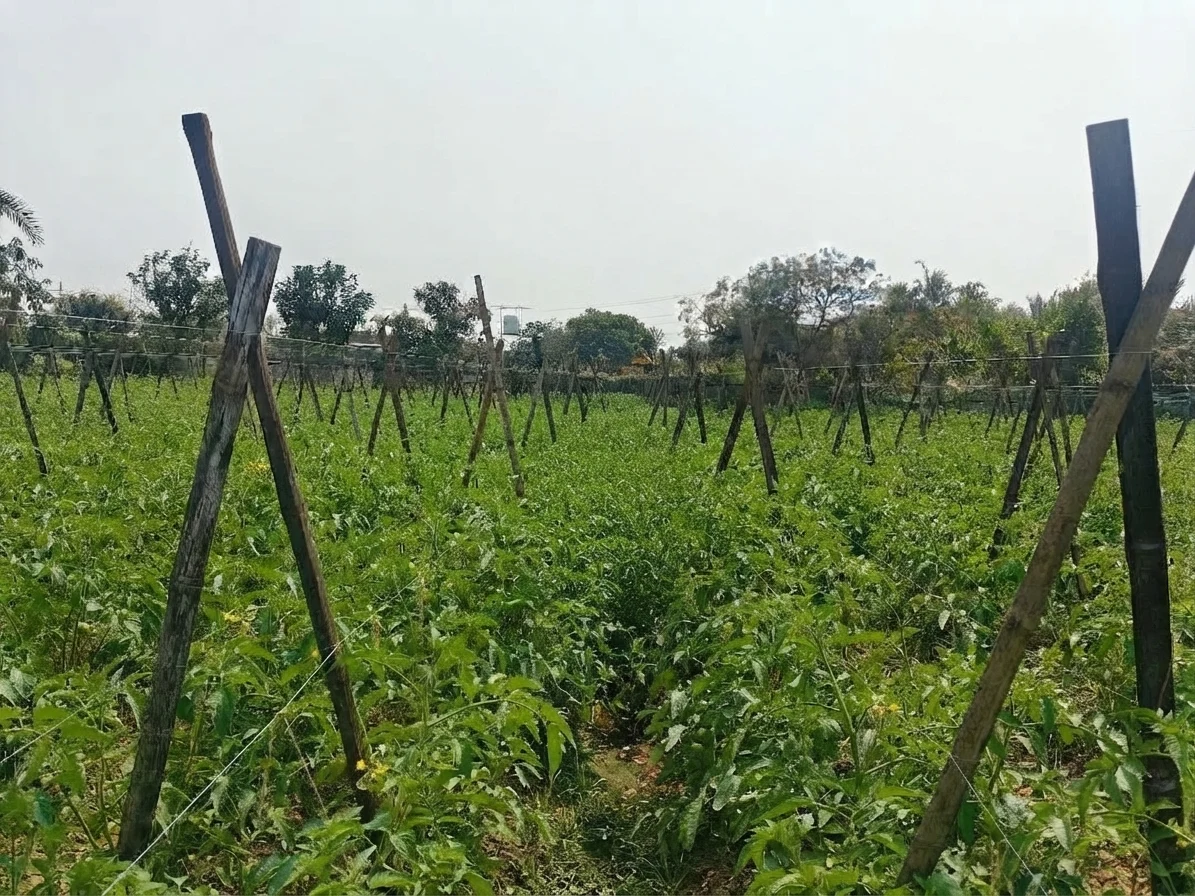 Custom Hiring Centers (CHCs)/Seed Banks/Fodder Banks/ Vermicomposting Units/Mushroom cultivation/Nursery Raising/Value Addition and Processing Units/Any other successful women-managed enterprises) - Image 2